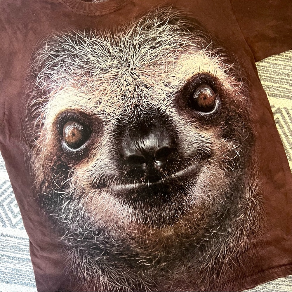 Retro Y2K The Mountain I Met A Sloth Tie Dye T Shirt